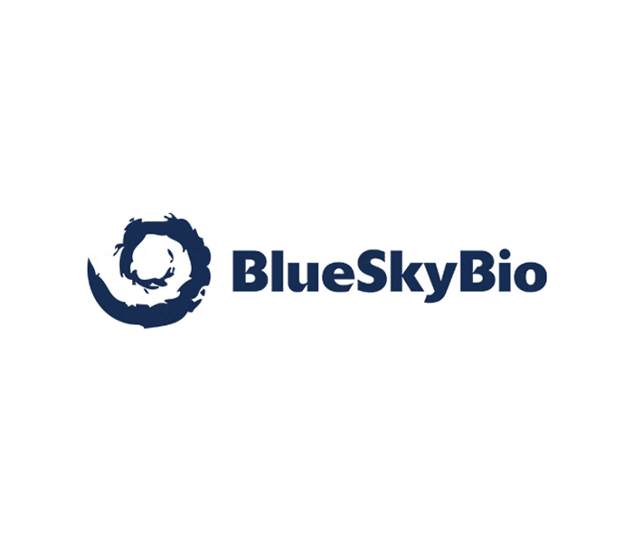 BlueSkyPlan